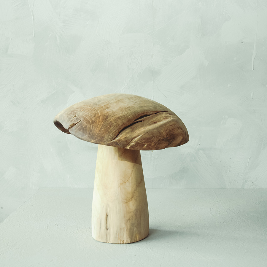 Mushroom Ebrul